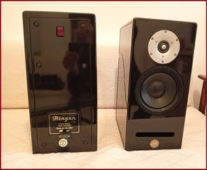 ΗΧΕΙΑ  ESCALANTE PINYON STUDIO MONITOR