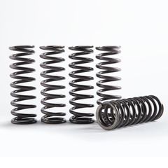 Hinson Hi-Temp Clutch Spring Kit