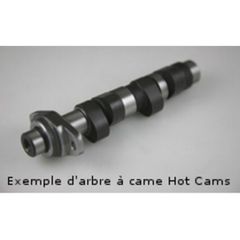 Hot Cams Camshaft - Stage 1 Polaris
