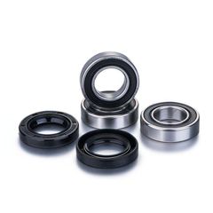 Factory Links Rear Wheel Bearing Kit