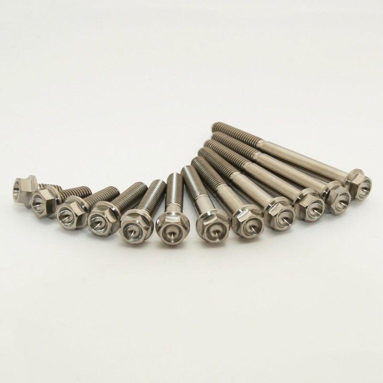 Scar Engine Screw Kit Titanium 49 Screws