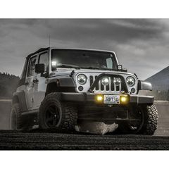 Denali D3 Fog Lights Lens Kit  - Amber