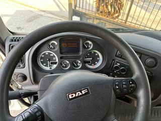 Κόφα DAF 2009 LF 45.160-thumb-2