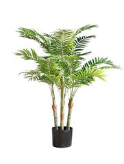 PALM TREE  NP5336_122  ΥΨΟΣ 122cm NewPlan