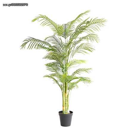 PALM TREE  NP5506_180_22  ΥΨΟΣ 180cm NewPlan