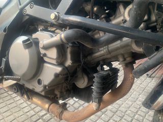Ρεζερβουάρ Suzuki, V. Strom Άριστο-thumb-2