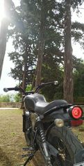 Gemini Scrambler 125 2019-thumb-5