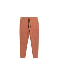 Trousers 4F M 4FSS23TTROM152brown
