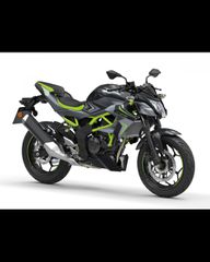 Kawasaki Z 125 2026