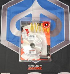 Variator Malossi Multivar 2000 Για Piaggio/Vespa/Aprilia Medley-SR GT-Gts 125-150-200cc 2016-2024 Μοντέλα Καινούργιο Γνήσιο