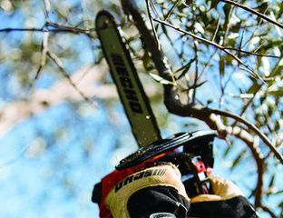 Κλαδευτικό Αλυσοπρίονο ECHO CS-280TES-thumb-2