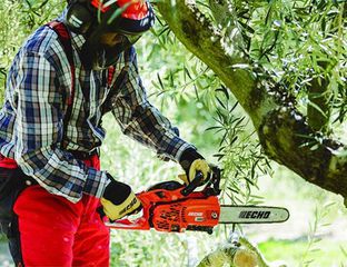 Αλυσοπρίονο ECHO CS-2511WES 25cm-thumb-1