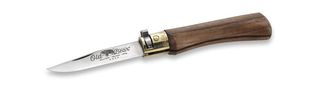 Antonini Old Bear Walnut Size S