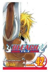 Viz Bleach Vol. 42 Paperback Manga