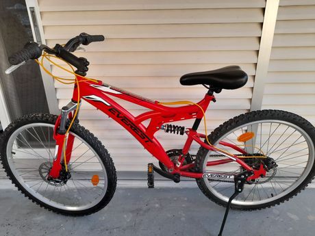 Everest '20 Mountain bike 