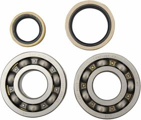 Κωδ.267341 Hot Rods σετ ρουλεμάν στροφάλου K229 τηλ.215-215-8211