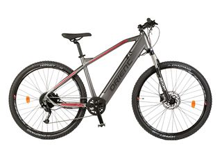 Orient '24 ULTRA 29'' E BIKE