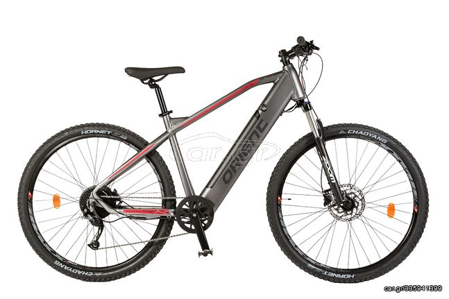 Orient '24 ULTRA 29'' E BIKE