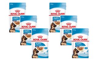 Economy Pack 6 Τεμαχίων x 140gr Royal Canin Shn Maxi Puppy για Κουτάβια Μεγαλόσωμων Φυλών