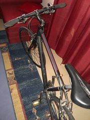 Trekking Specialized 2016 CIRRUS ELITE-thumb-7