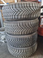 Ζαντολαστιχα VW group MICHELIN ALPINE 6