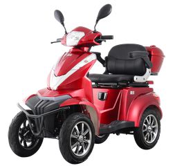 VR 2025 Τετρακυκλο VIGOROUS T408-thumb-3