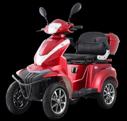 VR 2025 Τετρακυκλο VIGOROUS T408-thumb-5