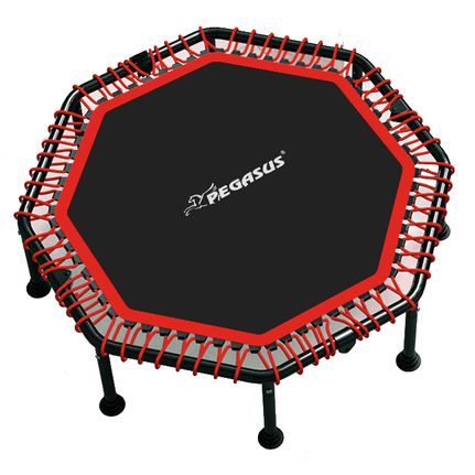 Pegasus(R) Οκτάγωνο τραμπολίνο 48" (122cm) Β4503