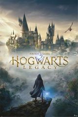 Hogwarts Legacy Poster Pack Wizarding World Universe 61 x 91 cm (5)