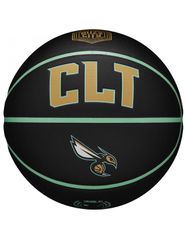 Wilson NBA Team City Collector Charlotte Hornets Ball WZ4016404ID