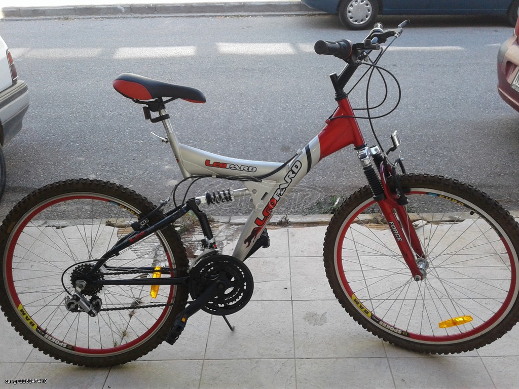 All - Mountain Leopard 2013