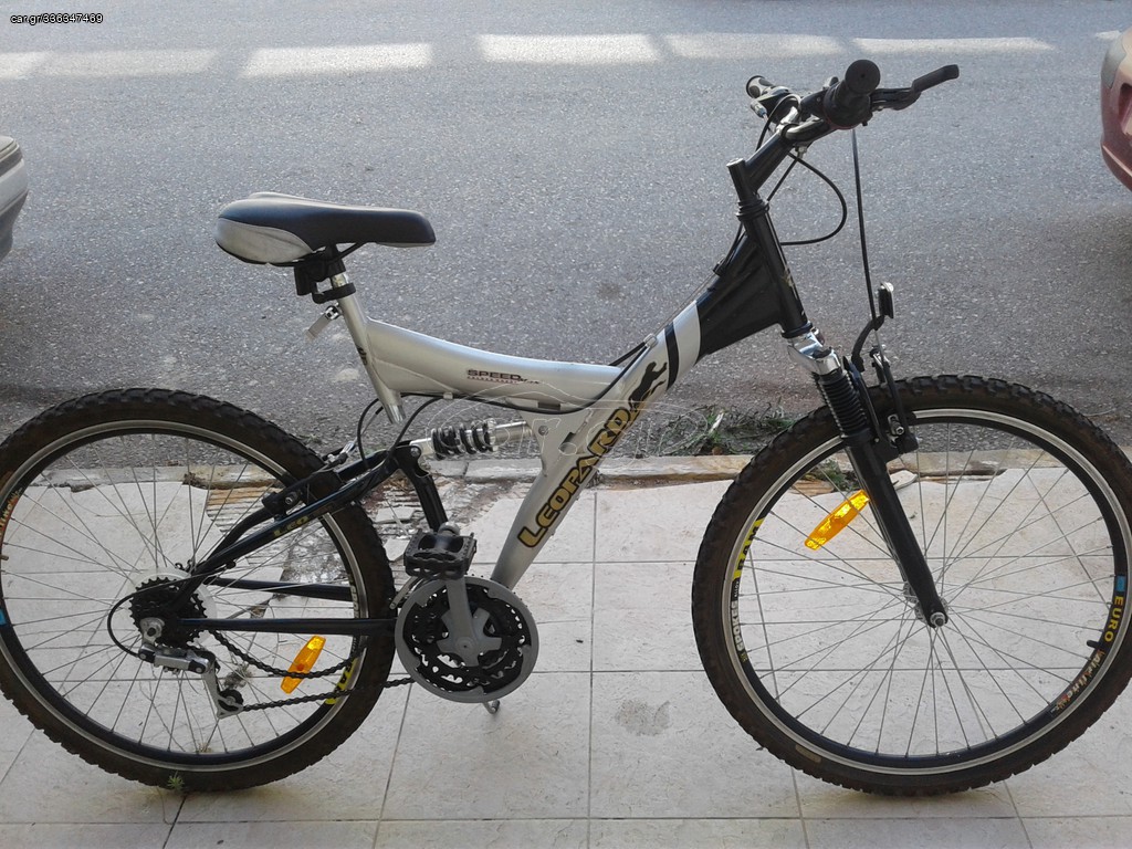 All - Mountain Leopard 2013