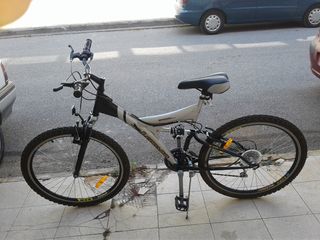All - Mountain Leopard 2013-thumb-1