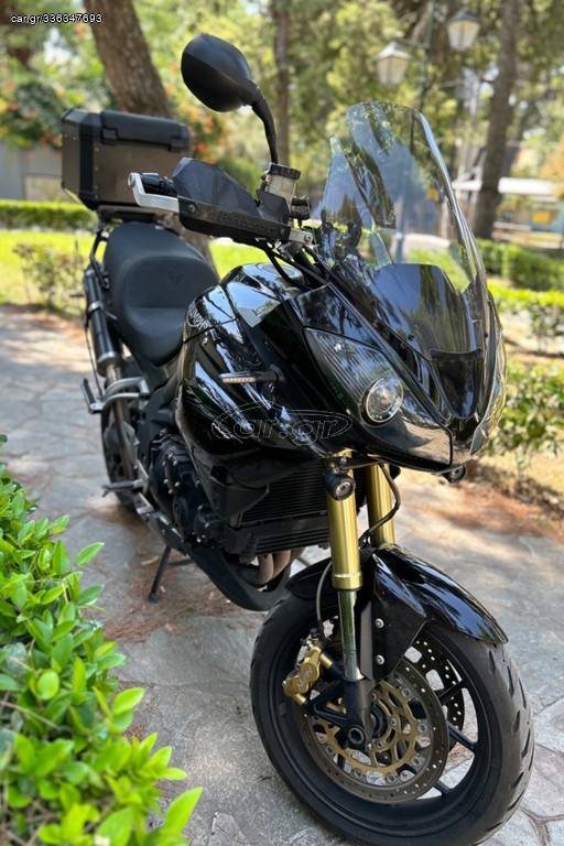 Triumph Tiger 1050 SE 2009