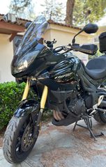 Triumph Tiger 1050 SE 2009-thumb-41