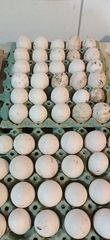 Αυγά πάπιας Πεκίνου 