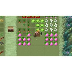 Rune Factory 3 Special / Nintendo Switch-thumb-2