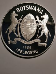 Νόμισμα Μπορσουανα 1986