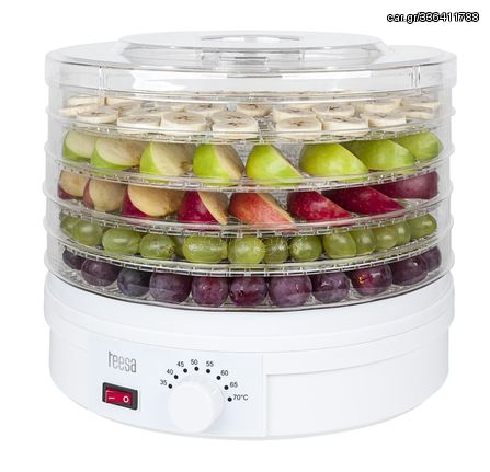 TEESA Mushrooms and fruits dehydrator