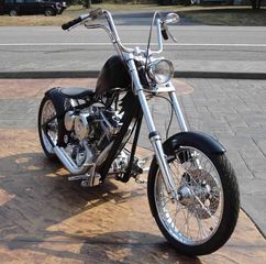 Harley Davidson Custom Bike '10