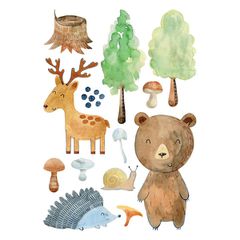 Διακοσμητικά αυτοκόλλητα τοίχου WaterColor Forest σε L μέγεθος κατασκευασμένα από βινύλιο σε συσκευασία 13 τεμαχίων