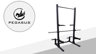Half Rack Pegasus HR‑G1-thumb-1