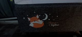 Cangaroo Always Together-thumb-5