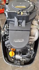Parsun  2019 F15 - 0700-thumb-17