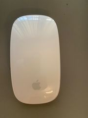 Ποντίκι apple