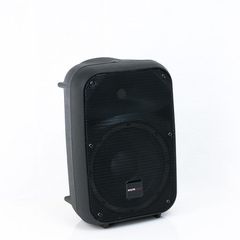 MASTER AUDIO SB200 PASSIVE MONITOR 130W RMS 8'' - Master Audio