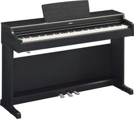 YAMAHA YDP-164B Electric Piano 88Keys 192note Black - Yamaha