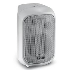 FBT JOLLY J5W Passive speaker 2 way 80W - FBT