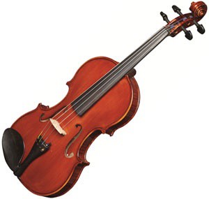 STRUNAL 337W Vilin 4/4 - Without case / bow - Strunal