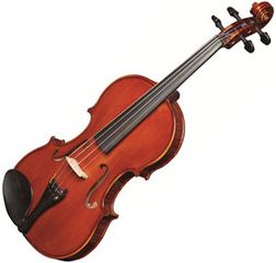STRUNAL 337W Vilin 4/4 - Without case / bow - Strunal